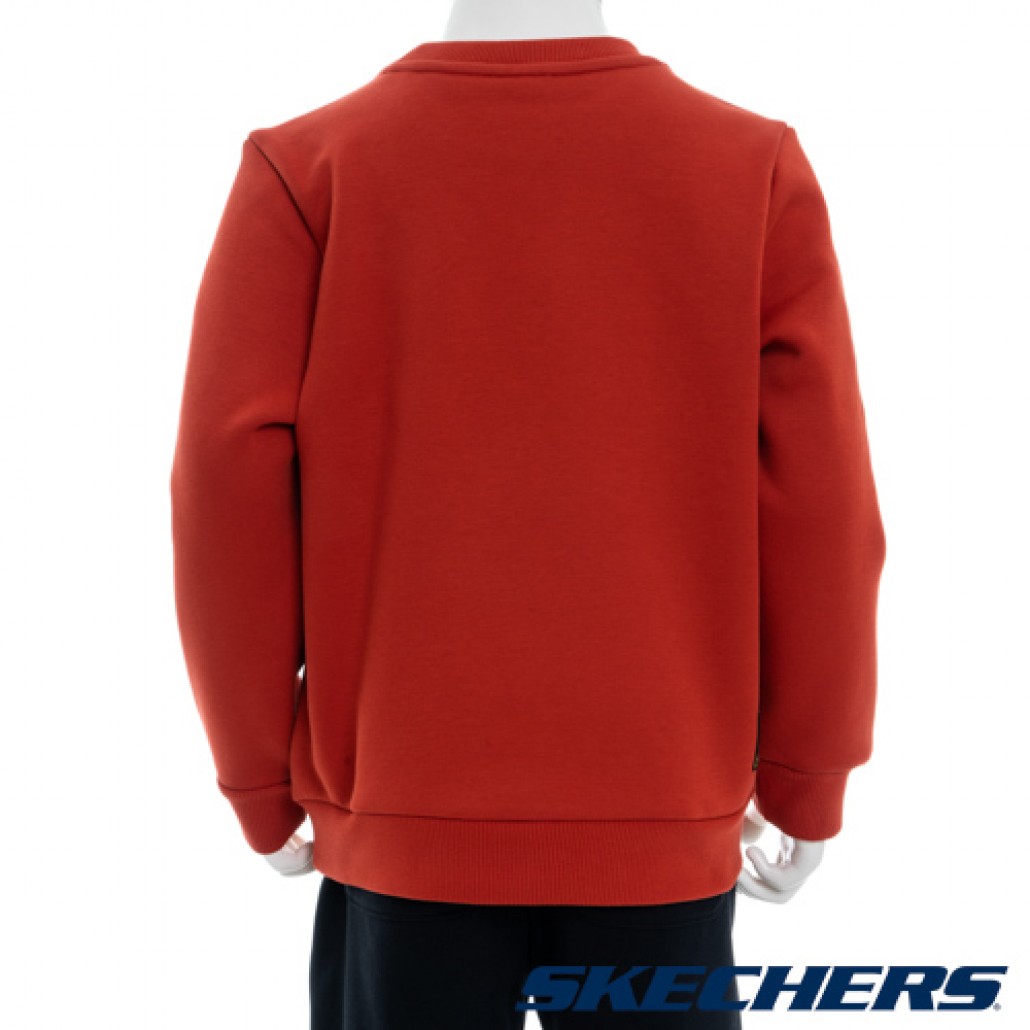 男幼童長袖衛衣(L423B013-034X)