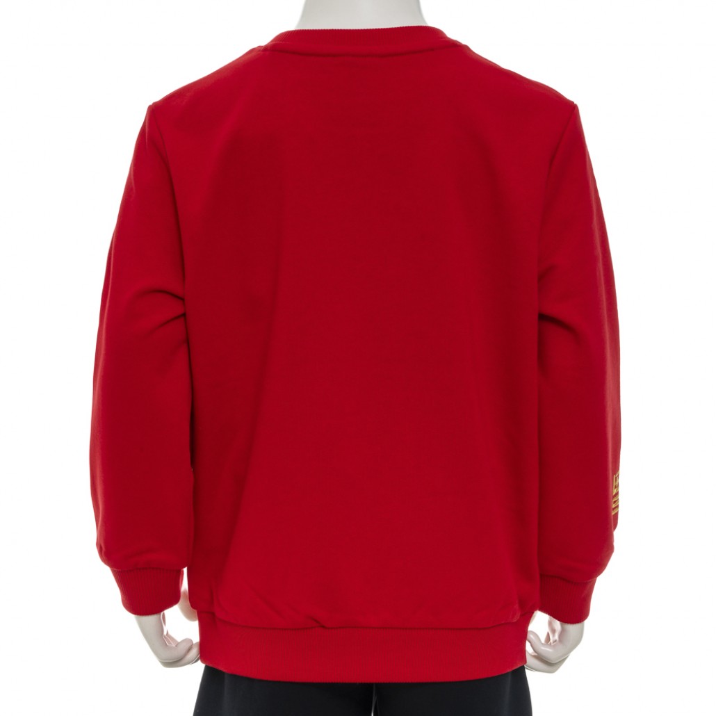 SKECHERS 中性童長袖衛衣 2025 CNY (L125K066-001W)